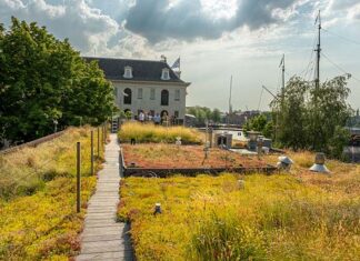 Resilio: Slimme daken op Kattenburg en in de Oosterparkbuurt