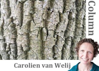 De bomen van De Nieuwe Ooster