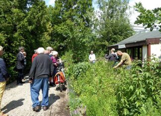 Natuurlezingen op Nieuwe Levenskracht