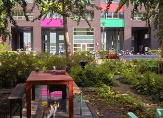HafenCity als voorbeeld voor vergroening
