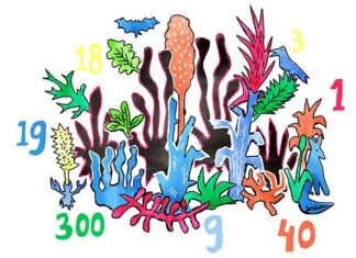 Minder groen, meer natuurwaarde