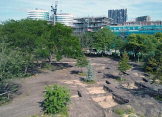 Gevarieerd groen in Overamstel
