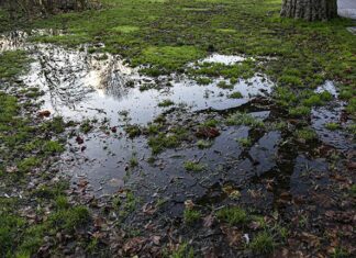 Zwartboek: ‘Dwing herstel Oosterpark af’