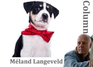 Bijzonder verjaardagscadeau