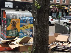 Inwoners Oost gelukkig met hun buurt