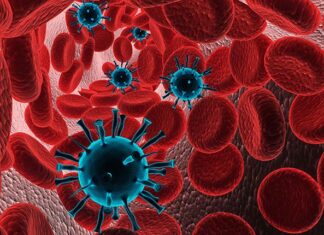 Wetenschappers maken einde aan complottheorieën en nepnieuws over coronavirus