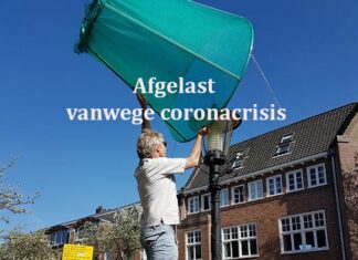 Bredewegfestival zoekt vrijwilligers