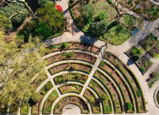 De Hortus bloeit nu ook online