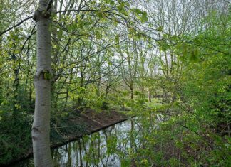 Park Darwin, een geheim pareltje