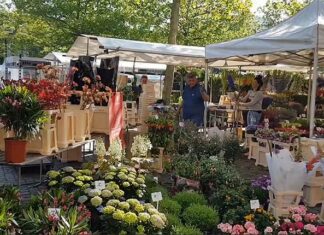 Maximaal dertig kramen op Reuring markt IJburg