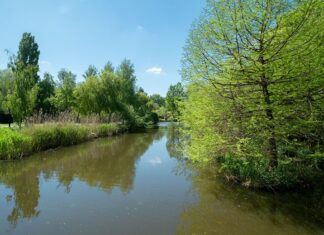 Parken in Oost: park Frankendael