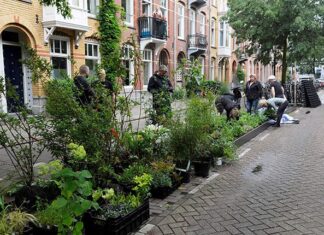 Bewoners: ParkPlek op agenda gemeenteraad
