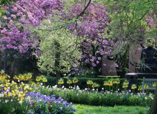 Artis is nu officieel ook een botanische tuin