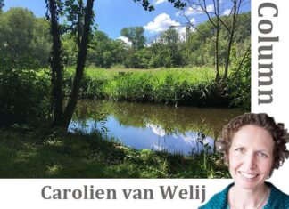 Een wandeling als souvenir