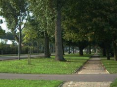 Vroeg op pad. Laat je verrassen en zie de stad ontwaken