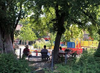 Meeste bewoners van Oost ervaren eigen gezondheid als (zeer) goed