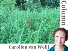 Hoogriet en laagwei