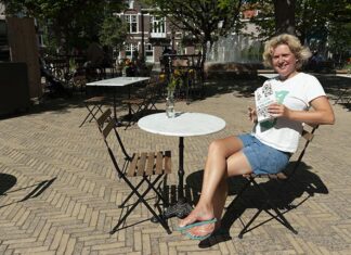 Hoe meer slimme mensen hoe beter?