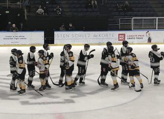 Tigers verkopen huid duur aan Panters