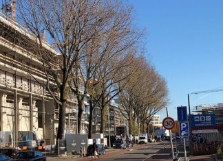Bewoners pikken de bomenkap van negen grote populieren op Cruquiusweg niet