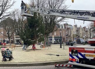 ‘Dit hebben we in deze tijd nodig, samen een kerstboom’