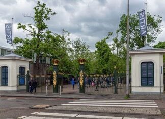Een beetje financiële ruimte voor Artis