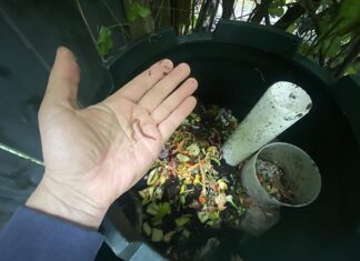 Landbouwhuisdierenkak