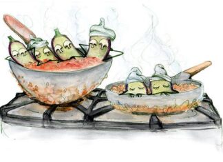 Koken met Sake: Winkelvrienden