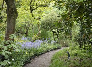 De Hortus is weer open