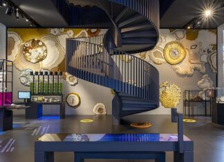 Een wand vol ‘aaibare’ schimmels in Micropia