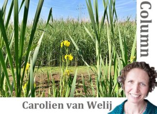 Diep in ons binnenste