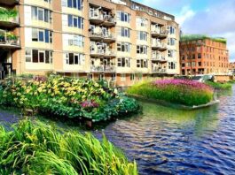 Stadsdeel maakt klucht van drijvende tuinen Oostelijke Eilanden