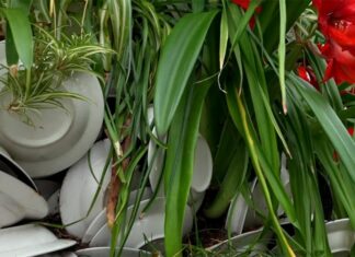 Op verkenning bij Mediamatic voor natuur, biotechnologie en art+science