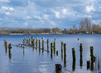Genieten van rust in het Flevopark