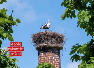 Mooie vakantie in Oost: ‘kunst‐ en cultuurtuin’ Frankendael