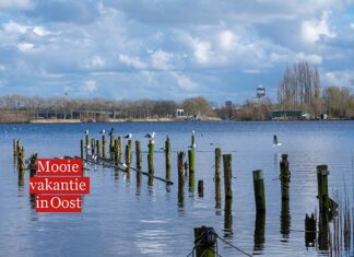 Mooie vakantie in Oost: Genieten van rust in het Flevopark