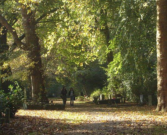 Wandelen op Arboretum De Nieuwe Ooster en genieten van bijzondere bomen