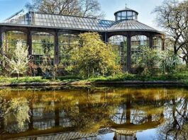 Hortus Botanicus, een park met vierduizend soorten planten