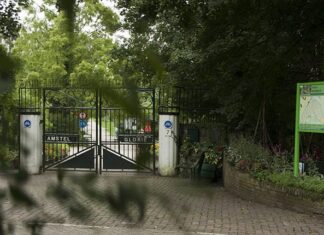 In volkstuinpark Amstelglorie is veel te beleven