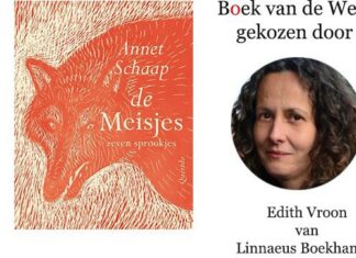 Boek van de Week | De meisjes (zeven sprookjes) van Annet Schaap