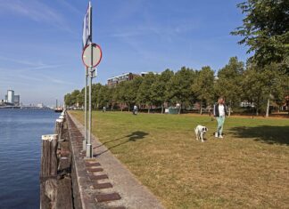Wisselvallige zomer, toch nog overlast