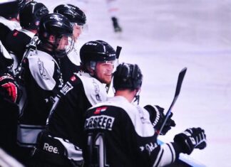 Tigers in eredivisie ijshockey nader verklaard