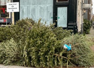 Laat na de kerst je kerstboom duurzaam verwerken