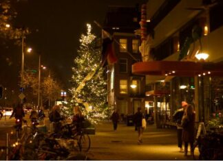 Wandel langs de Knowledge Mile Christmas Trees en win een prijs