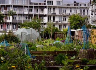 Gezonde Stad: Groen oneerlijk verdeeld, we eten vaker plantaardig