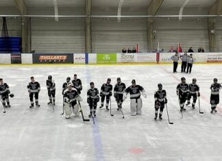Amsterdam Tigers met opgeheven hoofd de lente in