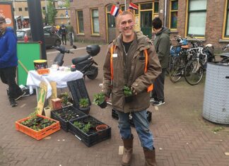 Koningsdaggekte terug in Oost