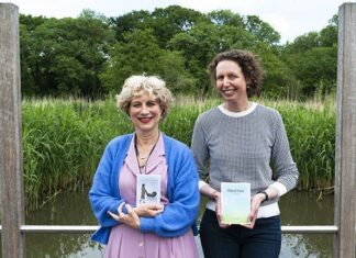 Over de verdwenen bioscoop en moederschap