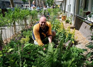Meer groen voor meer saamhorigheid