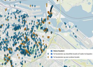 Honderden onveilige bomen worden gekapt